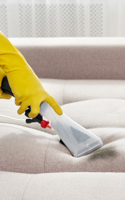 Why-Choose-Duster-Dollies-for-Carpet-Cleaning-500px